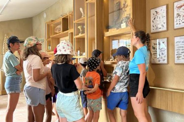 Animations Écoguides au fort du Pradeau_Hyères
