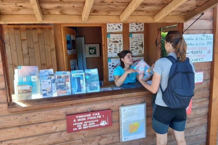 Les animations Écoguides au Cap Lardier_La Croix-Valmer