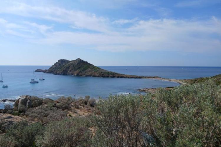 Les animations Écoguides au Cap Lardier_La Croix-Valmer
