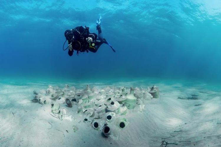 &Eacute;cran nature : Sous la surface - les tr&eacute;sors vivants de Porquerolles_Hy&egrave;res