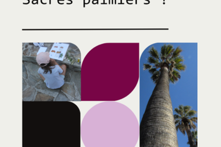 Patrimômes : Sacrés palmiers_Hyères