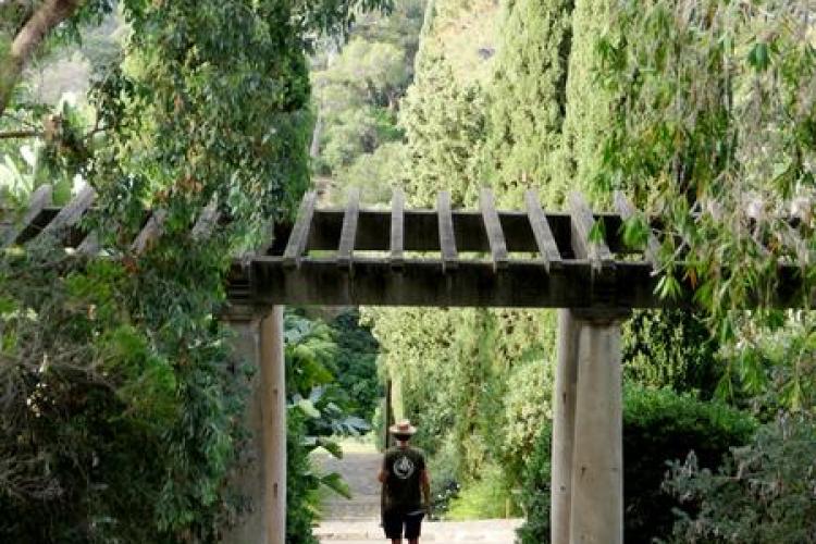 Visite thématique "La visite du jardinier"_Rayol-Canadel-sur-Mer - Domaine du Rayol