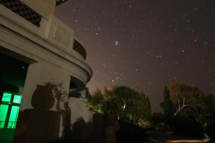 Visite thématique "Balade nocturne"_Rayol-Canadel-sur-Mer - Domaine du Rayol