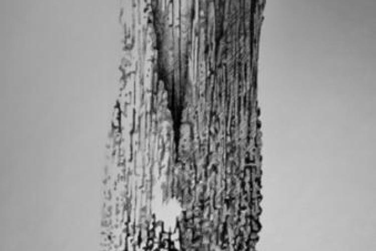 Exposition "Cristal intime"_Hyères - Vestige, Trame, Germe, Seuil, été 2026