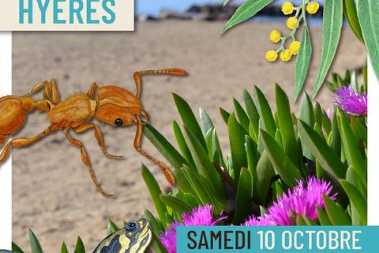 Table ronde : Faune et flore d'ici ... et d'ailleurs_Hyères - Table ronde