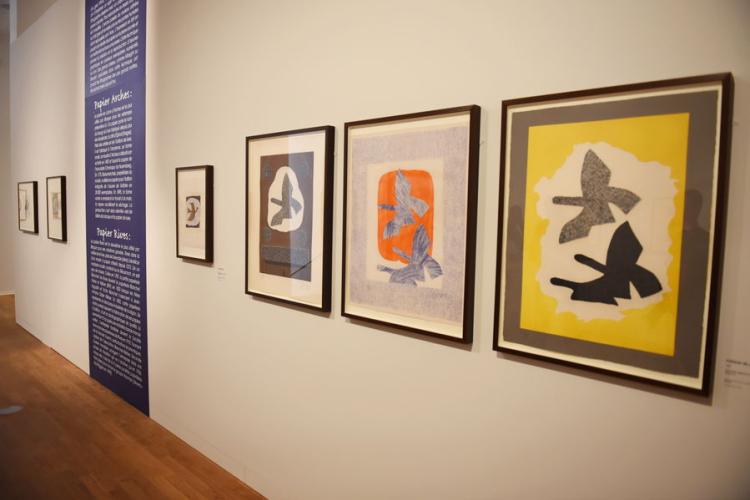 Musée des Cultures et du Paysage de Hyères - La Banque - Hyères : Braque