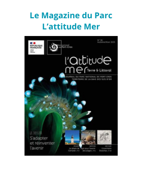 COUVERTURE LAM POUR BLOC ACCUEIL